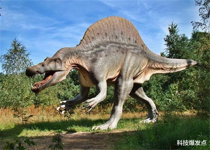 恐龙@1.45亿年前的恐龙，最后一餐吃的什么？肚子里的木炭怎么来的？