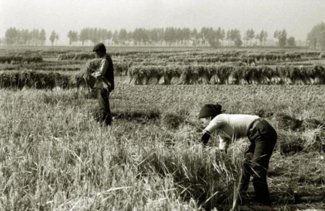 银行|62年前，一位老农在银行存入77块钱，如今全部取出能取多少钱？