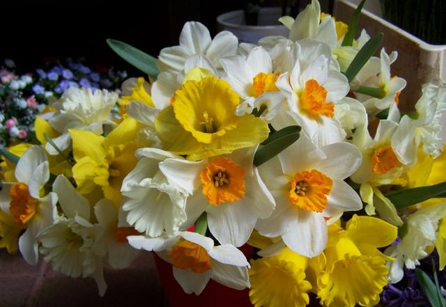 射手座|10月事业春风得意，生活称心，收入翻倍，好运连发的4大星座