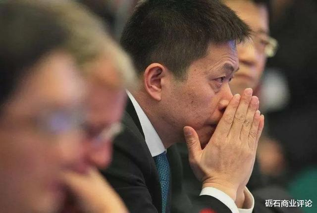 大疆|反思新浪 | 砺石