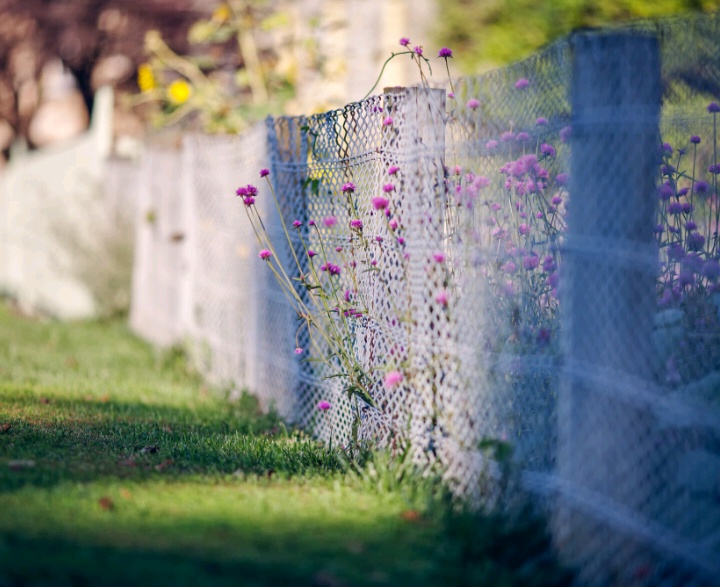 旧爱|放不下旧爱，为爱回头的3大星座，你一直爱，我就一直在！