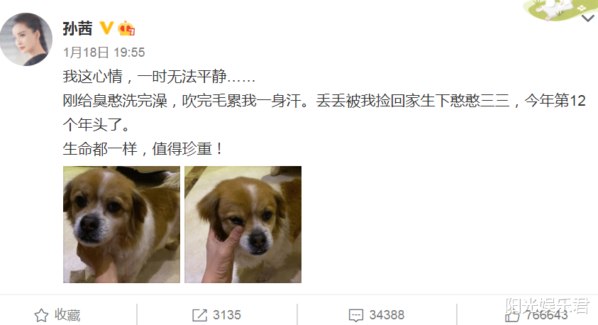 郑爽|郑爽事件曝光后，明星们站队表明立场，张翰的操作让我看楞了