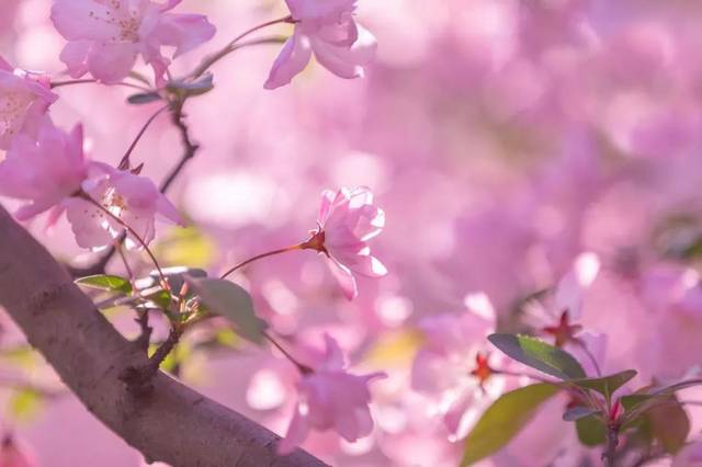 生肖▲明天起，3生肖财源滚滚，运势红透半边天，4月喜事成双找上门，大富大贵躲不掉