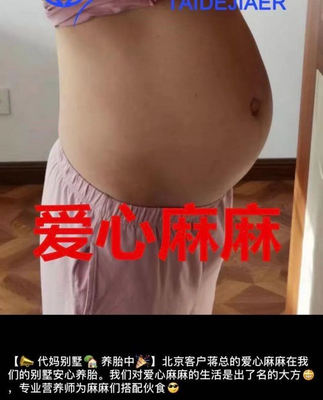 黄晓明|太疯狂！郑爽代孕生子再曝大料，我看到了人性最丑陋的一面