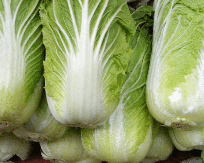 [白菜]炒大白菜不能放此物，吃了就是没病找病，现在知道还不晚！