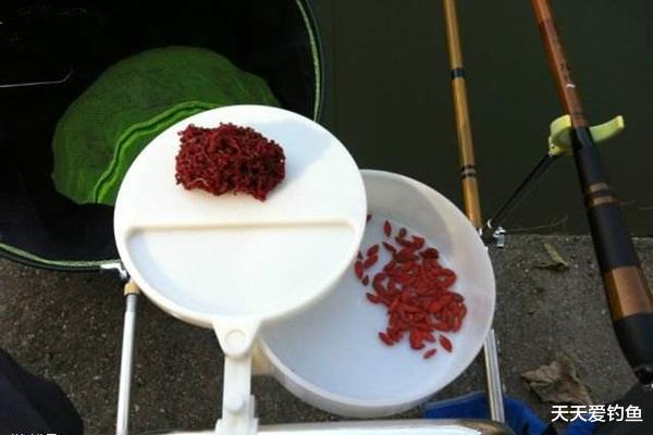 饵料|钓鱼10多年，才知道这些东西是饵料偏方，制作简单，效果惊人！