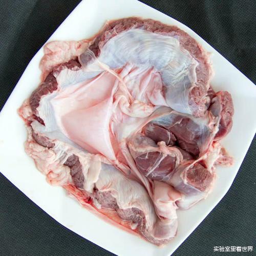 猪肉|老屠夫：猪身上这块肉最补，一头猪只有一个，很多人却嫌它臭