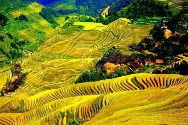 云南|28个最适合9月出行的地方,去邂逅第一场秋色!