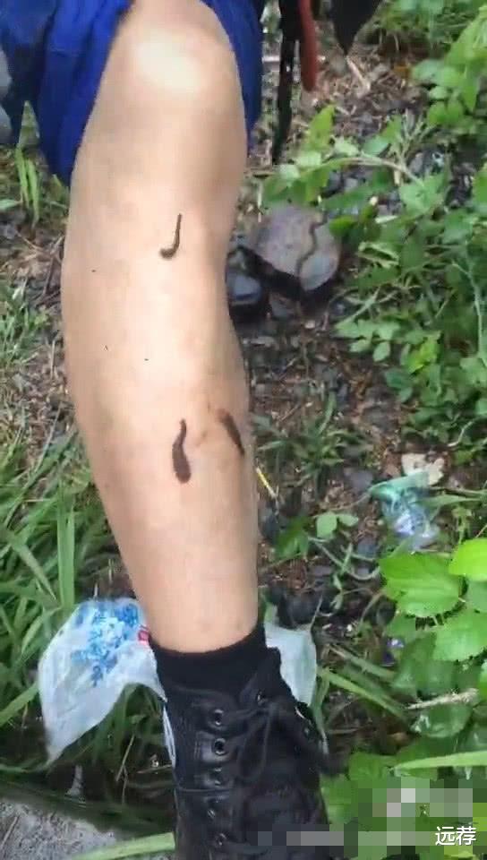 『泰安』翼装飞行失联女大学生确认死亡！人躺在草丛里！成生前最后遗照！