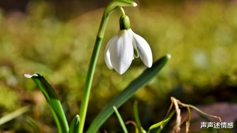 星座爱情观▲7月中旬，桃花运出现，三生三世情缘到来，收获真爱的4大生肖！