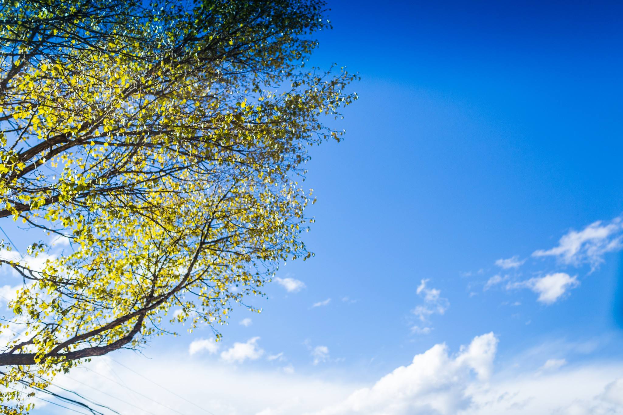 甘南|这些照片，很甘南！
