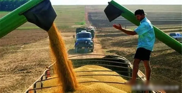 『澳大利亚』中国终结与澳方的合作，二号大国迅速的接盘，澳部长：太快了、我都没反应过来！