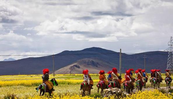 西藏|“种活一棵树奖励10万元！”中国面积最大的城市，全市无一棵大树