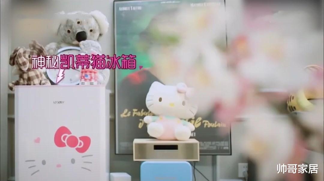 设计师|“快本主持人”的豪宅！最豪当属海涛，三套豪宅风格各异，真羡慕