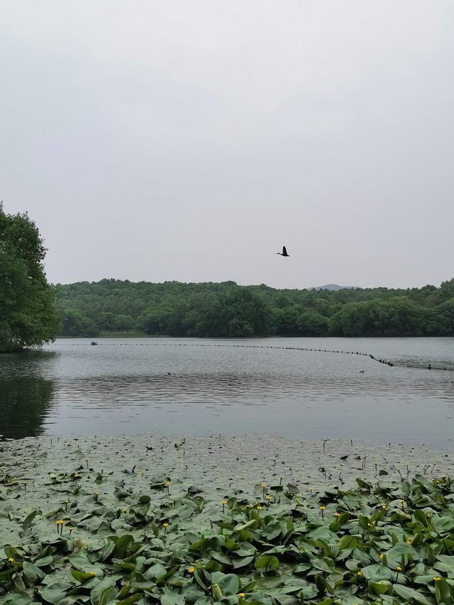 [杭州]杭州这5个冷门的小众景点，避开人潮享清幽