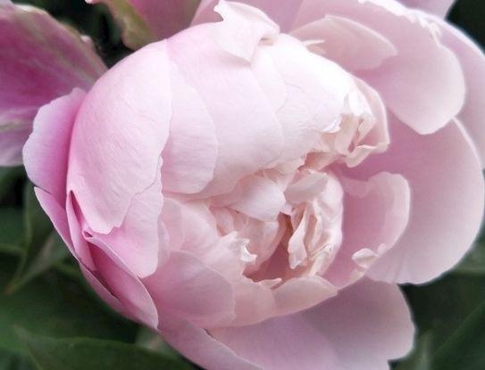 运势|未来30天，4属相时来运转，迎来鸿运当头，财运旺盛，大吉大利