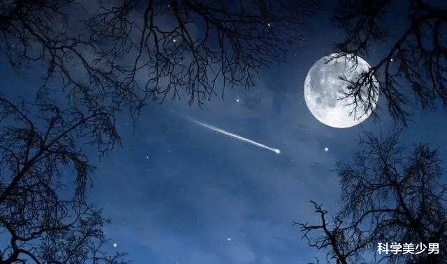 巨龟|如果量子力学理论是对的,是否意味着人生真的是毫无意义?