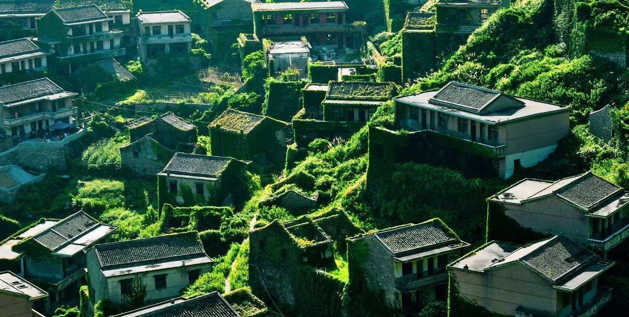 @浙江的“无人村”，让我们看到了地球上若没有人类的样子
