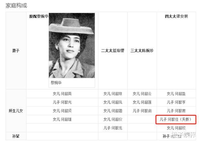 赌王▲赌王之子何猷佳成最大谜团，何超盈称压根没这个人，细思极恐！