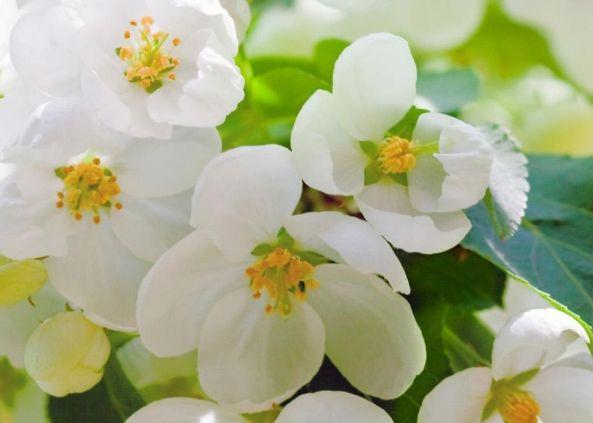 天秤座|8月中旬开始，财运旺旺旺，4属相得贵人相助，生活一帆风顺