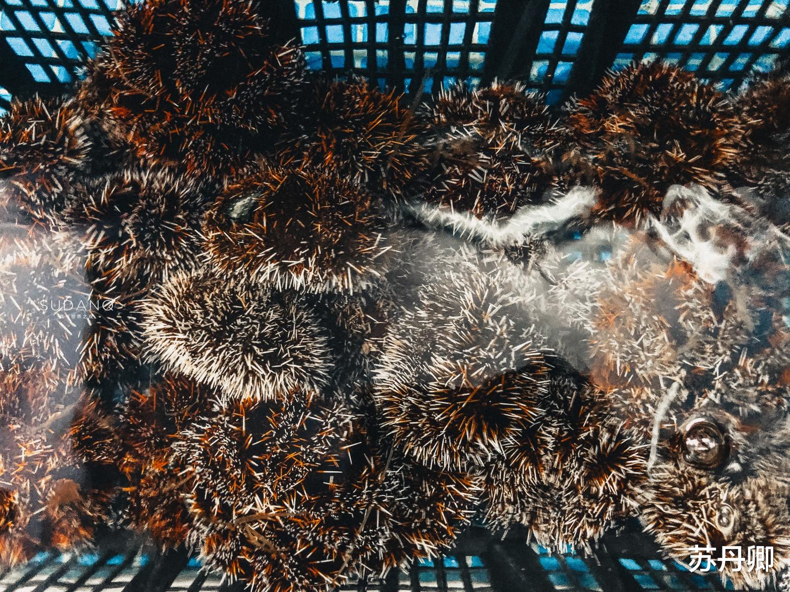 三亚|三亚第一市场宰客严重？游客不听劝，挑海鲜吃海味，人均124