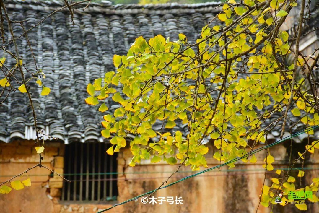 自驾|十处不拥挤、够惊艳的景色，适合国庆出行，总有一处对你胃口