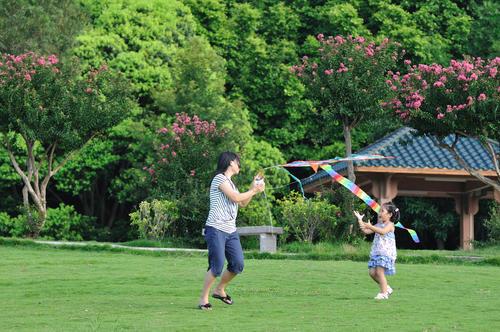 标题党|2岁儿子山上喂猴，丢了身上最贵重的“俩球”，母亲后悔莫及
