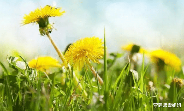 肝脏@长期喝酒者,若没出现这6个异常,恭喜,你的肝还算健康