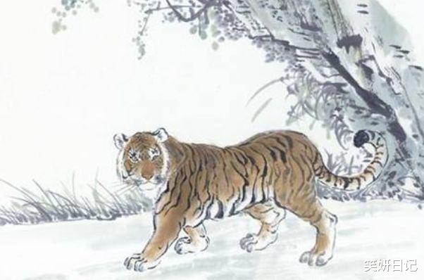 |生肖虎再过2天，一辈子最大的贵人来找你了，9月秒变大“金”虎