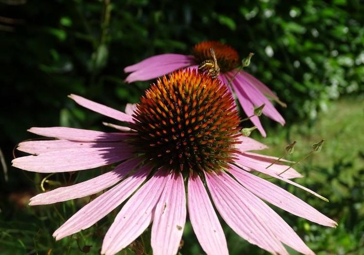 生肖|10月21日-11月11日迎来好运的3类人，干啥啥成功，赚得大笔财富！