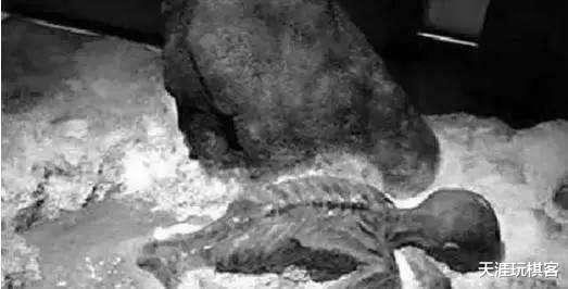 『伏尼契』世界真实的神秘事件未解之谜，一个比一个离奇