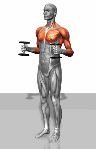 #哑铃#这是最全的训练图了，看完你就知道每一块肌肉改怎么练了