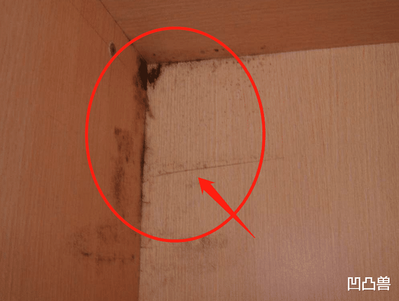 |误打误撞装对了这33个细节，邻居串门看到连连称赞道：太实用了