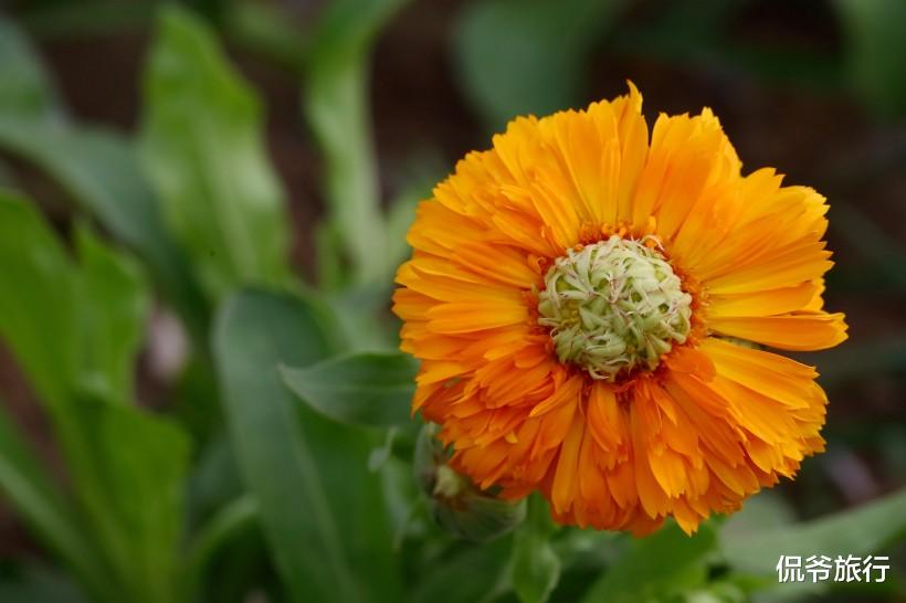 「生肖」天赐大兆头：6月22号走出逆境，此3生肖贵人帮，越来越好