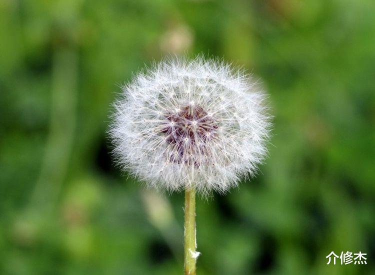 天蝎座|在15天内，旧情刻骨，再续前缘，忘掉过往，再度初恋的4大星座