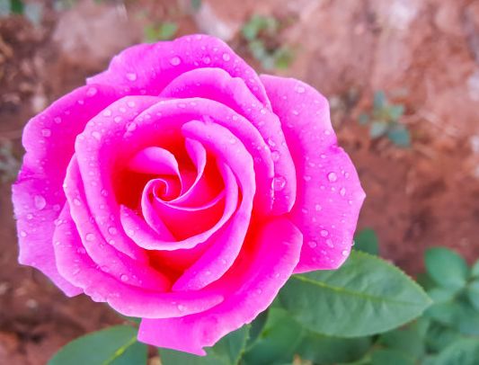 运势|7月下旬好运连连，4属相运势与日俱增，财运爆棚，生活一帆风顺