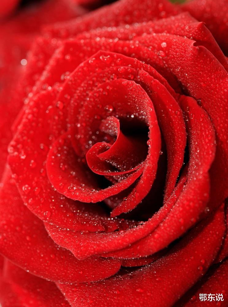 吉星|3生肖财神撑腰，财源滚滚，半年之内运势超旺，恭喜上榜的朋友！