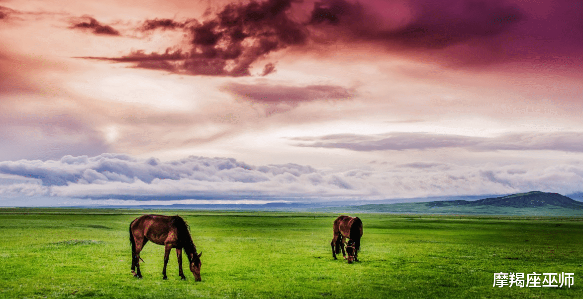 爱巢|11月下旬，失而复得，旧情人主动回头，爱得难解难分，共筑爱巢