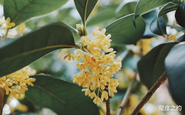 【生肖】5月上旬，深情难断，不计前嫌，难舍难分的三大星座