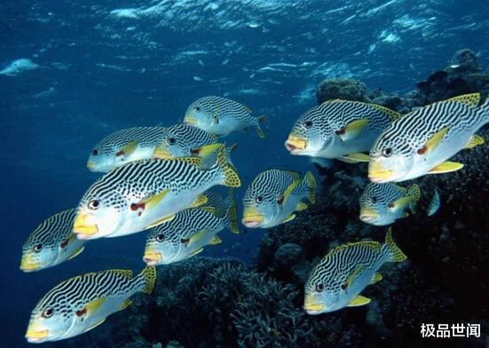 【】世界上最恶心的动物,没有之一,中国境内也有!