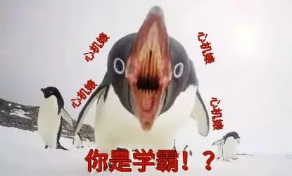 【苟晶】看完这一期《奔跑吧》，我看到了苟晶的真面目！