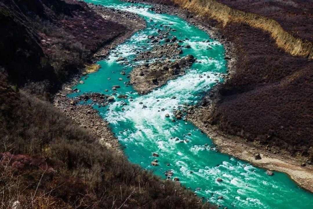 林芝|林芝一定要来两次,一次是春天,一次是秋天