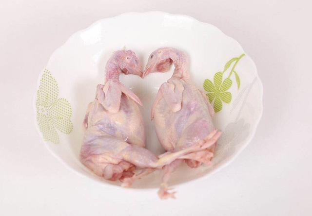 「」它被称为动物“人参”，营养价值高过鸡鸭，10元一只，好吃不贵