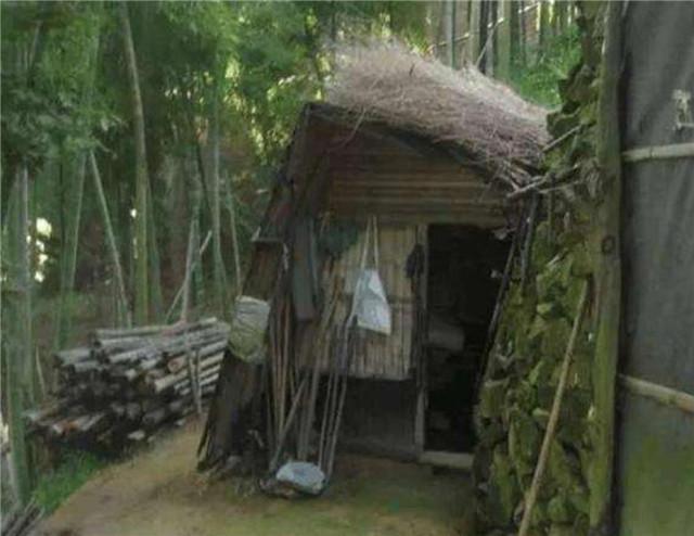 学霸|当年携妻子隐居11年的北大学霸,花掉350万后,为何要重返社会?