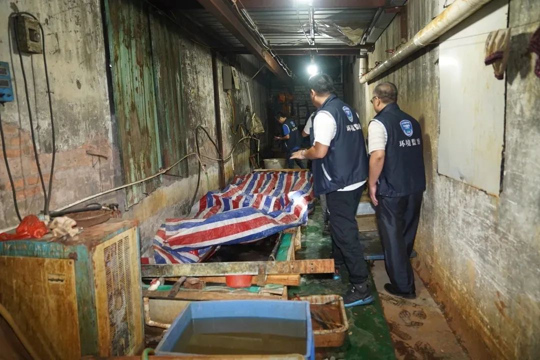 |刑拘8人，逮捕5人！厚街重拳打击这种行为！