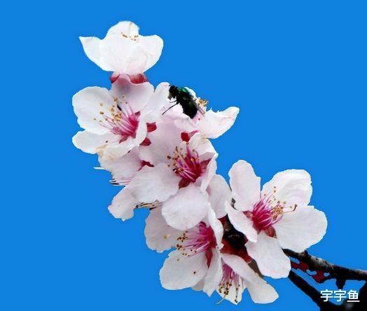 生肖|步入9月下旬，4属相运势大旺，事业发展顺利，富贵连连