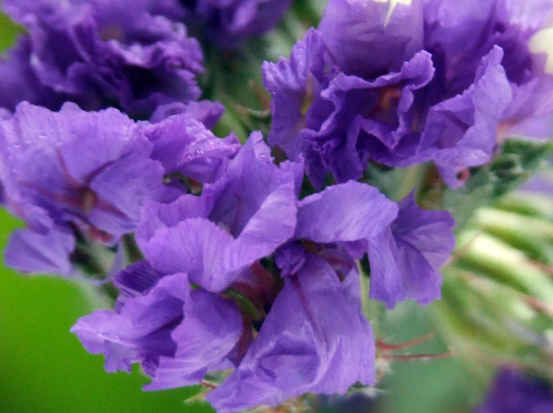 「属狗」5月下旬好运到，4属相好消息接踵而至，事业水涨船高，财运旺盛