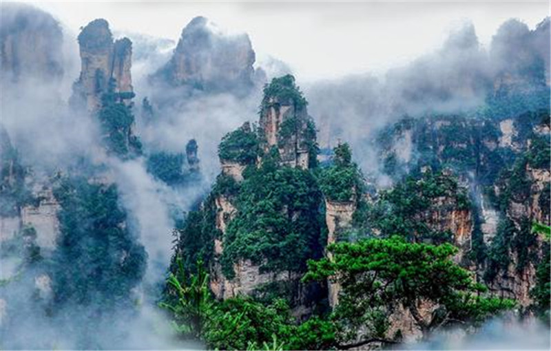 【张家界】中国良心景点，一张门票玩4天，公交免费坐，名气很大却不宰客