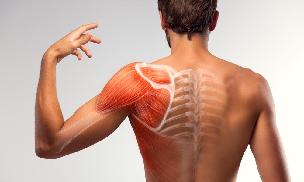 哑铃■完全改造窄肩！高手都会用到这7个王牌训练？