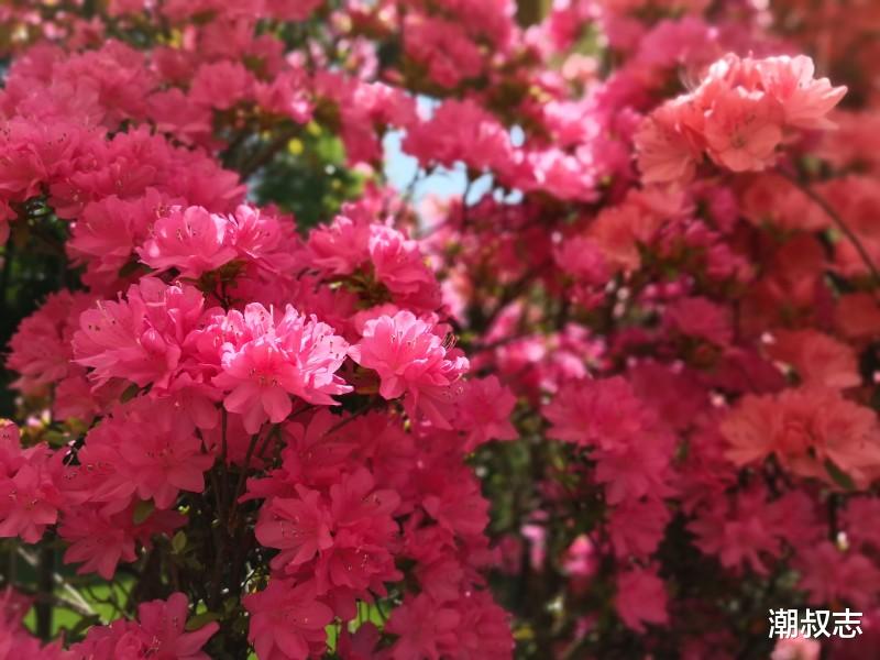 #运势#7月9号财气惊人的3生肖，财运大发，人生扶摇直上